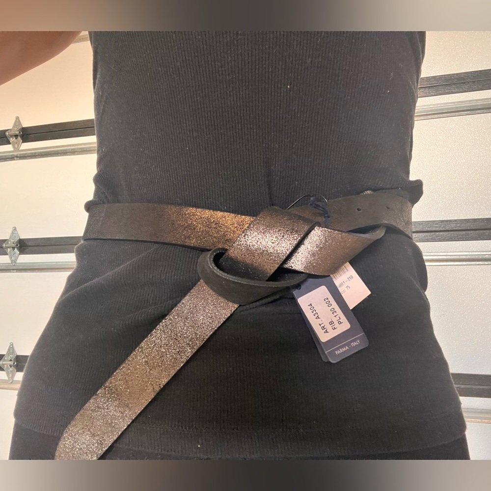 Metallic waist belt. New with tags